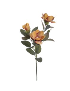 STELO 4389-04 CON 3 MAGNOLIE OCRA