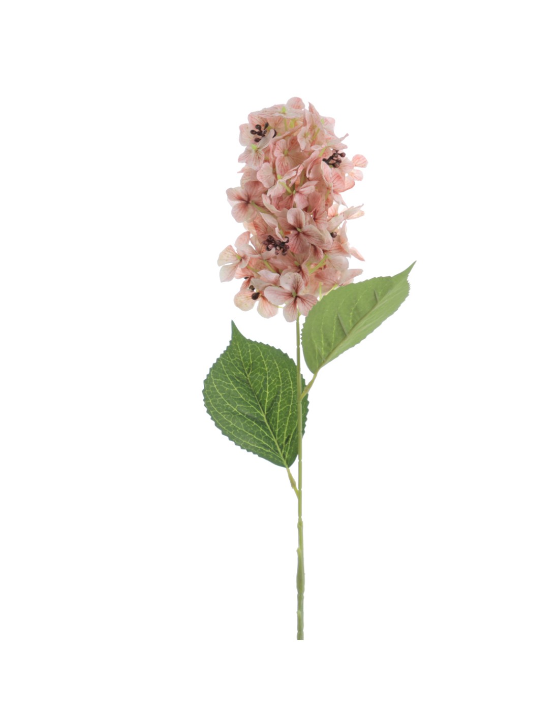 STELO 4752-31 HORTENSIA BEIGE