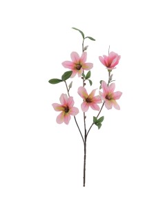 STELO 4811-12 MAGNOLIA ROSA