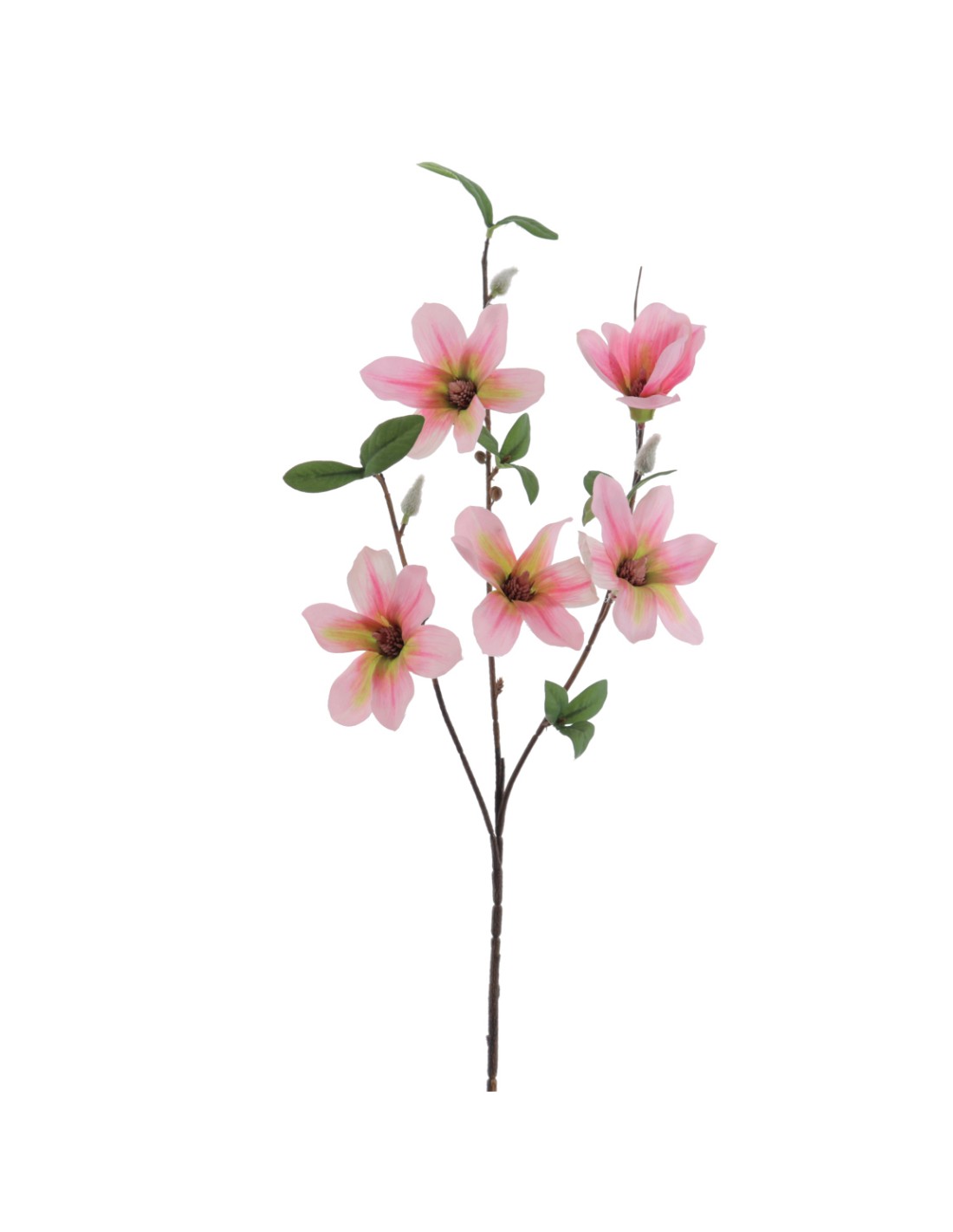 STELO 4811-12 MAGNOLIA ROSA
