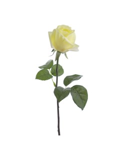 STELO 6936-02 ROSA GIALLA