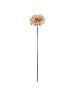STELO 6955-04 GERBERA OCRA