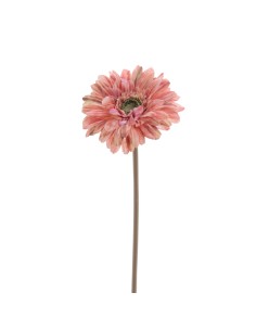 STELO 6955-24 GERBERA CORALLO