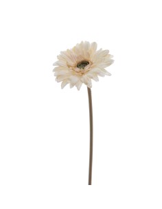 STELO 6955-31 GERBERA BEIGE