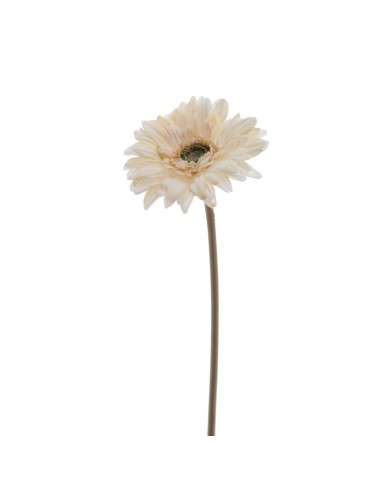 STELO 6955-31 GERBERA BEIGE