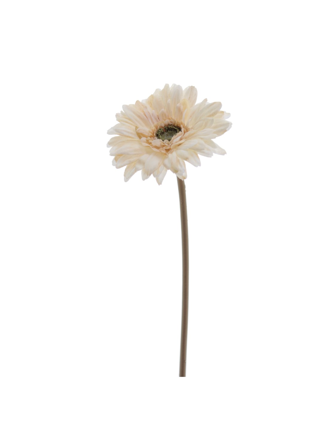 STELO 6955-31 GERBERA BEIGE