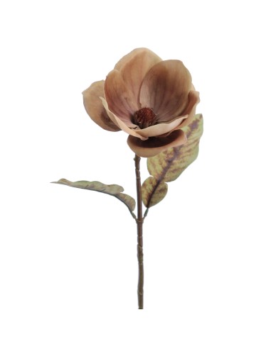 STELO 6964-04 MAGNOLIA OCRA