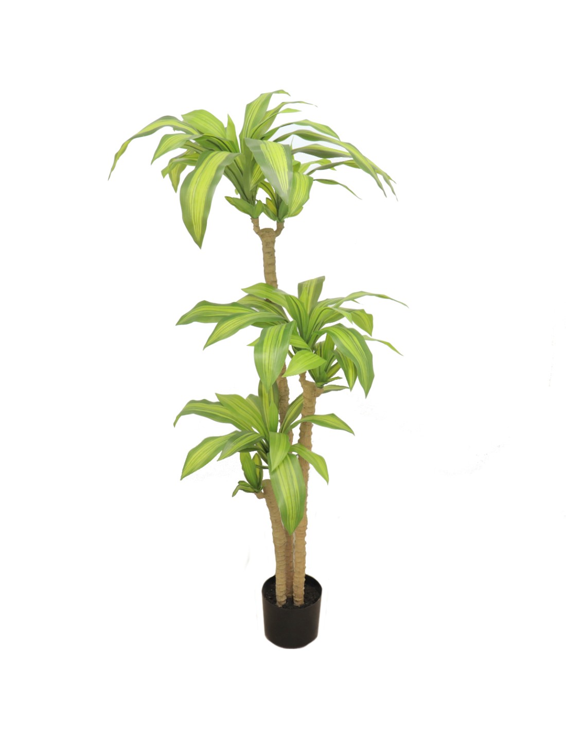 PIANTA 7528-09 DRACENA 150CM