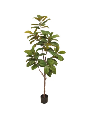 PIANTA 7529-09 MAGNOLIA 180CM