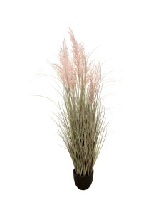 PIANTA 7559-50 PAMPAS 135CM
