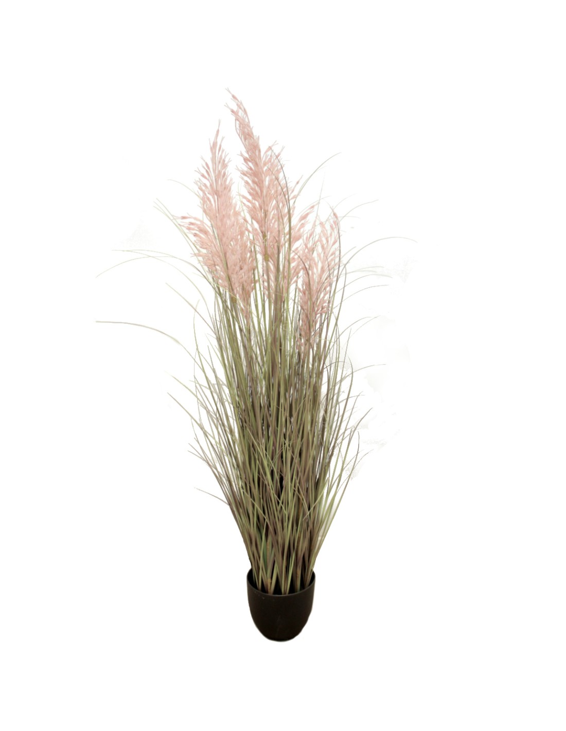 PIANTA 7559-50 PAMPAS 135CM