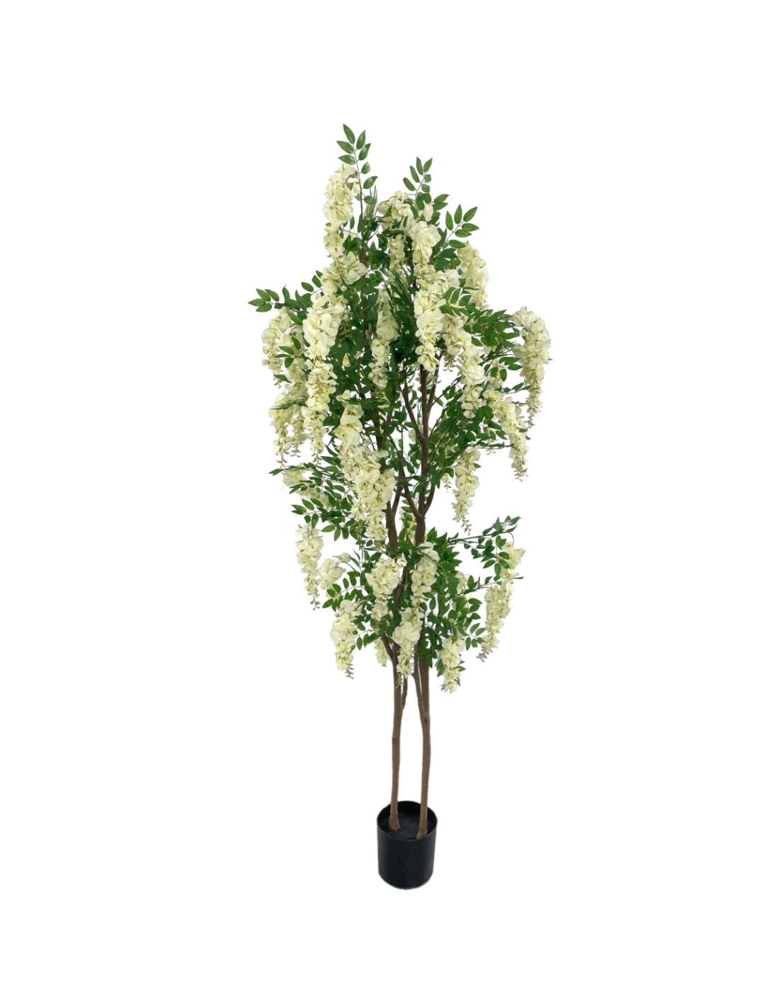 PIANTA 7585-01 GLICINE 190CM
