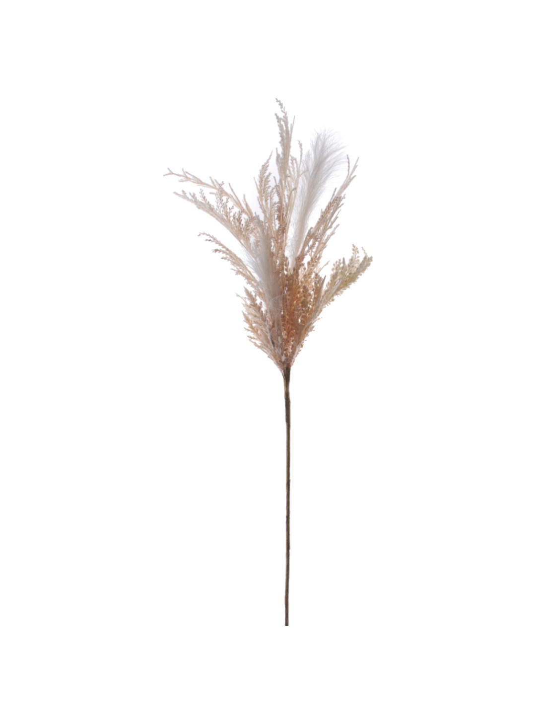 STELO 7634-01 PAMPAS CREMA