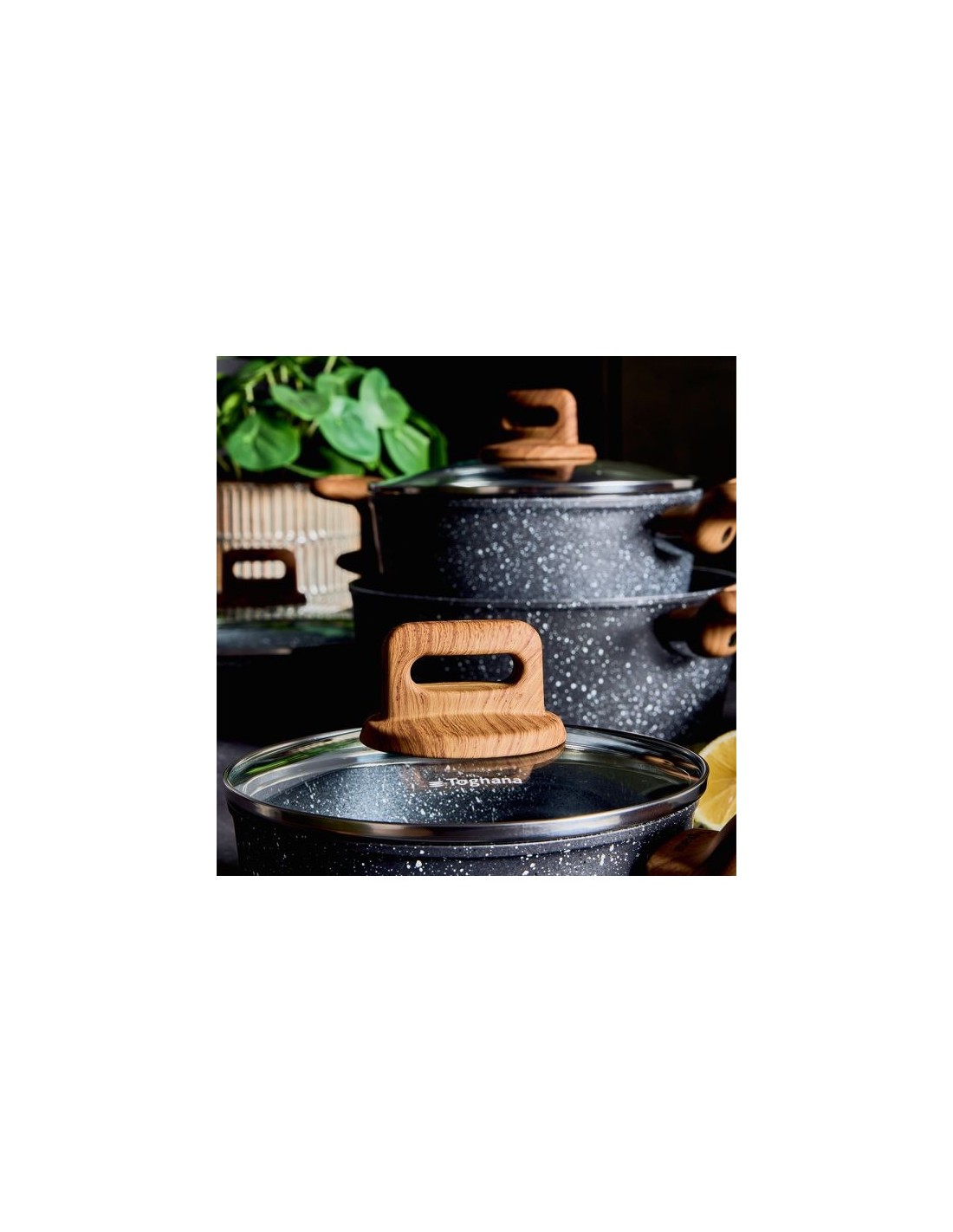 Coperchio 24 cm Tognana Wild Stone in vetro trasparente su shopincasa.it