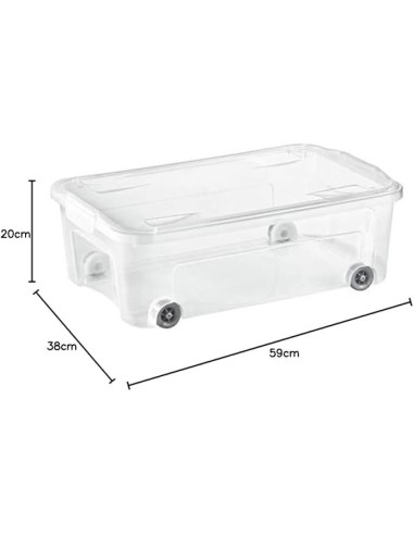 Tontarelli Contenitore Combi Box 59x38x20 cm Multicolore – Pratico e Resistente