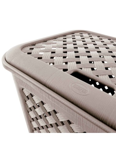 Cestone Grande Arianna Tontarelli 48 lt Colori assortiti | shopincasa.it