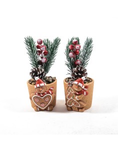 FIORI: vendita online Piantina di Natale H18 cm in vaso ceramica assortito, decorazione festiva elegante, La magia di natale ...