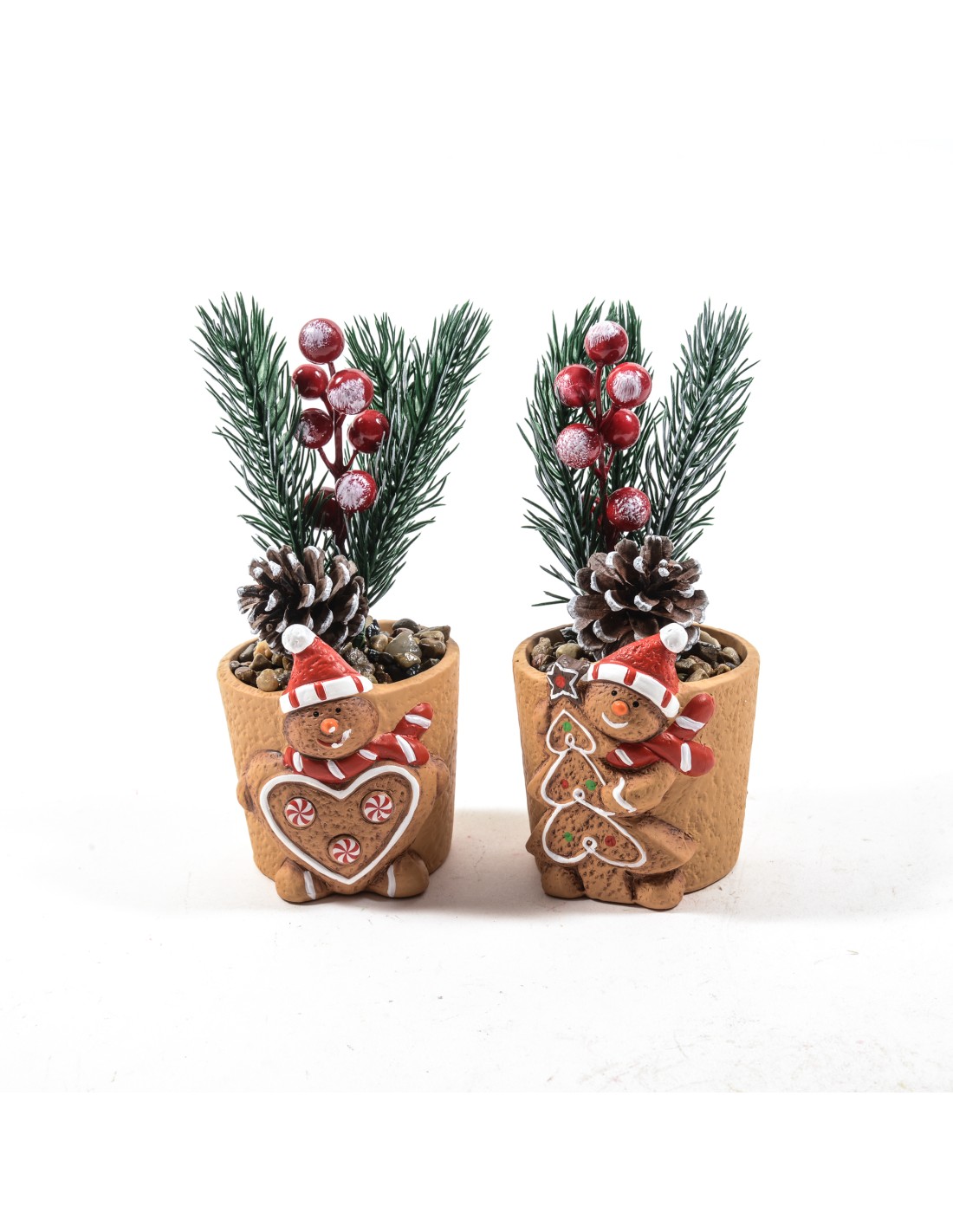 FIORI: vendita online Piantina di Natale H18 cm in vaso ceramica assortito, decorazione festiva elegante, La magia di natale ...
