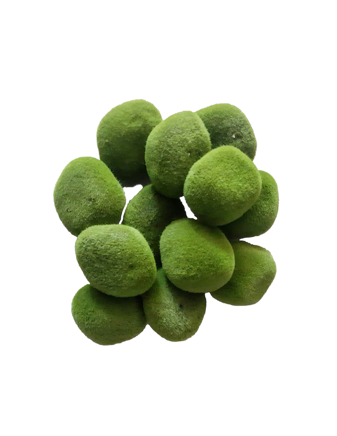 CONF 12 PIETRE DI MUSCHIO 8CM