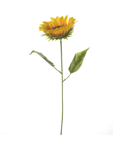 GIRASOLE 13980008-13 70CM