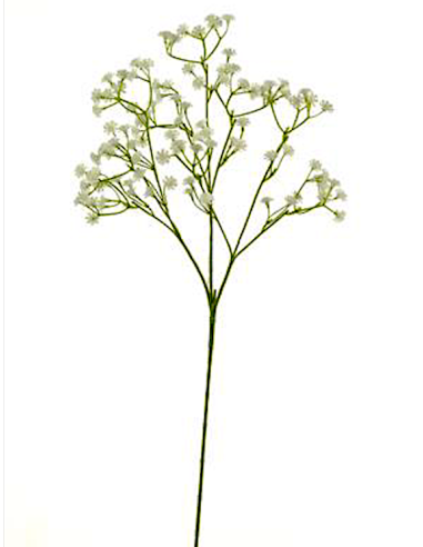 RAMO GYPSO 13640037-36 108FIORI BIANCHI