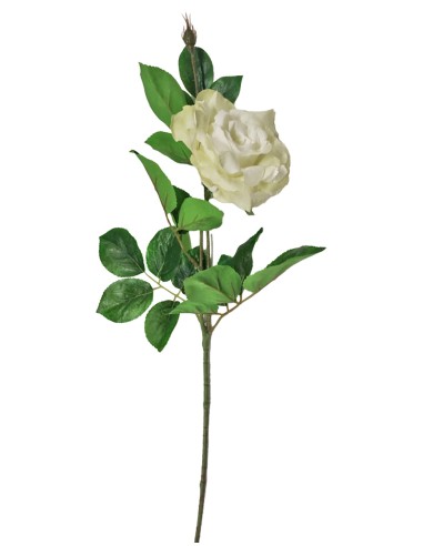 ROSA 18140035-96 70CM VERDE