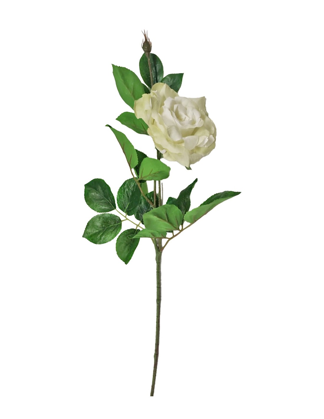 ROSA 18140035-96 70CM VERDE