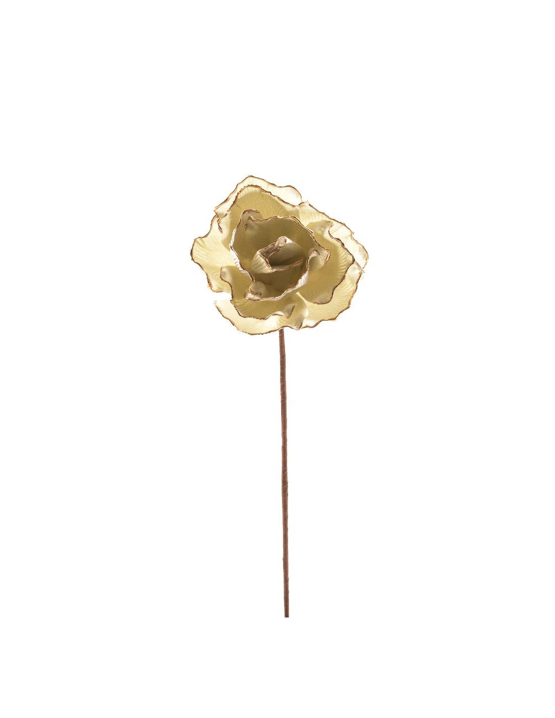 ROSA 16410 DIAM.15CM H55CM