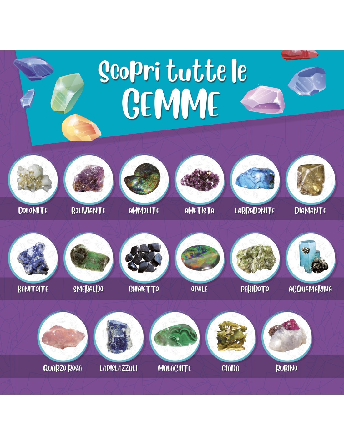 Kit scientifico scoperta minerali con gesso e poster – shopincasa.it