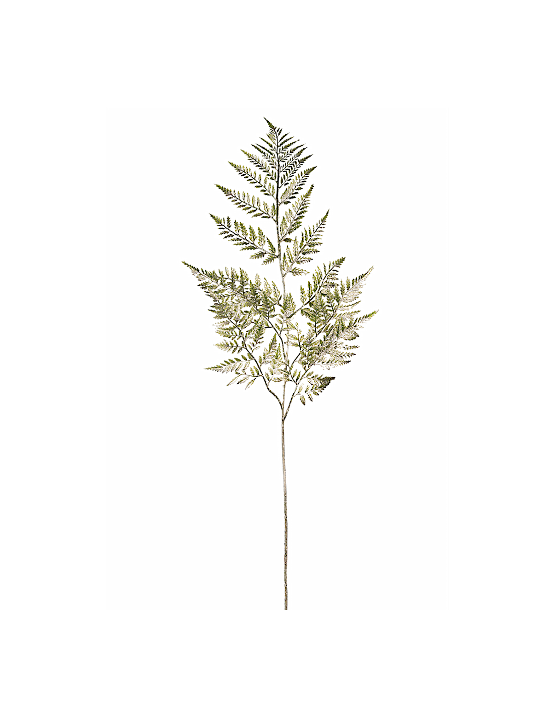 RAMO 18280014-01 FELCE 80CM DORATO