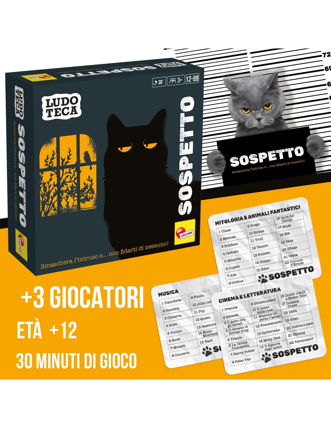 Ludoteca Pocket Gioco da Tavolo con Carte e Pedine | Shop in Casa