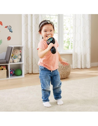 VTech Microfono Magic Show - Microfono Karaoke Bambini 2-5 Anni | shopincasa.it