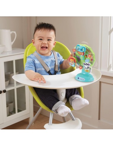 VTech Baby Ruota Panoramica - Gioco Interattivo Bambini 6-36 Mesi | shopincasa.it