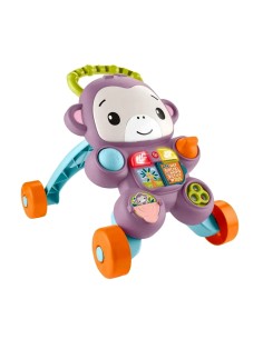 FP JGW91 SCIMMIETTA PRIMI PASSI