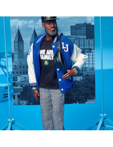 Barbie Signature LeBron James Kenbassadors 6+ anni | Shop in Casa