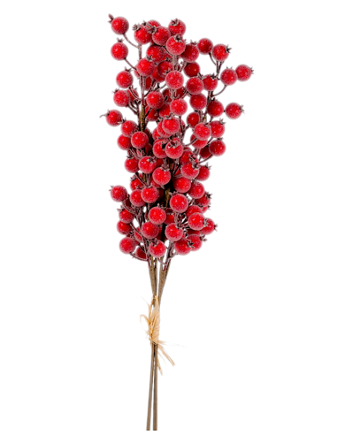 FIORI: vendita online Rametto di Natale Bacche Rosse Ghiacciate H65cm PVC, Decorazioni di Natale, Addobbi, La magia di Natale...