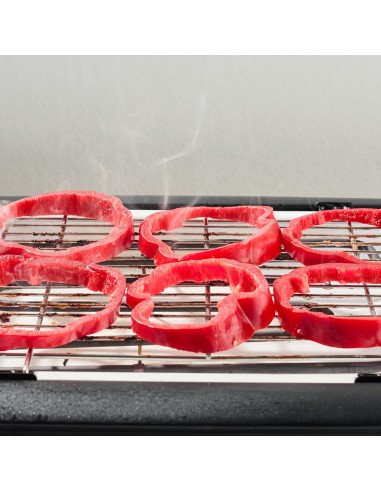 BISTECCHIERA G10024 Barbecue Portatile Giulietta con Griglia in Acc...