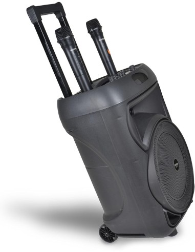 Cassa Trolley Acustica Wireless 2 microfoni luci RGB | shopincasa.