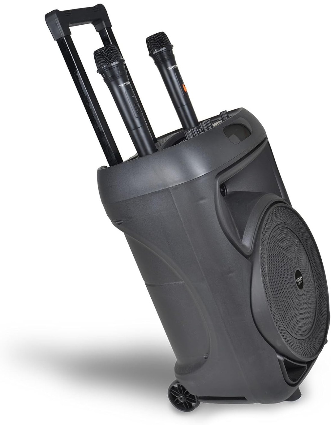 Cassa Trolley Acustica Wireless 2 microfoni luci RGB | shopincasa.
