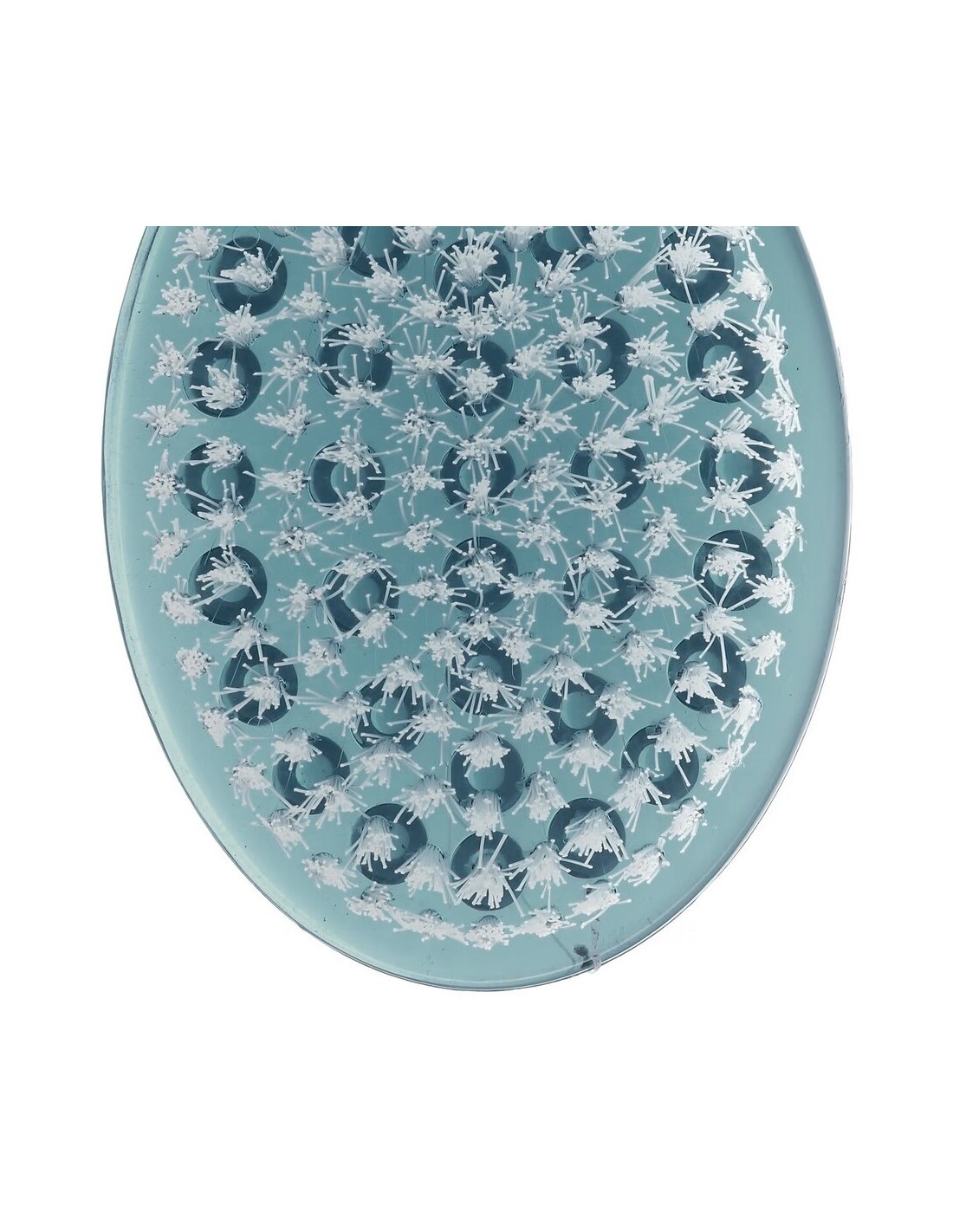 Pennello Posteriore in Plastica 3 Colori 7x3,5x36 cm – Lavaschiena | Shopincasa