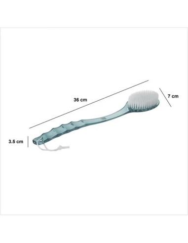 Pennello Posteriore in Plastica 3 Colori 7x3,5x36 cm – Lavaschiena | Shopincasa