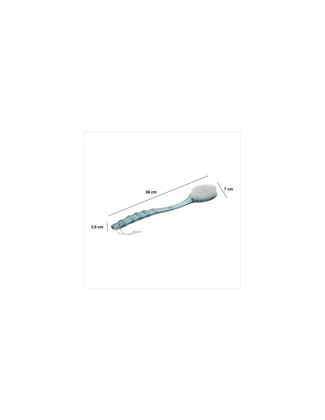 Pennello Posteriore in Plastica 3 Colori 7x3,5x36 cm – Lavaschiena | Shopincasa