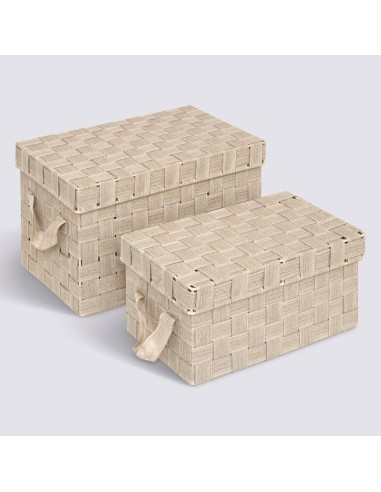 Set 2 Contenitori Lise Beige – Poliestere e Metallo | Shopincasa.it