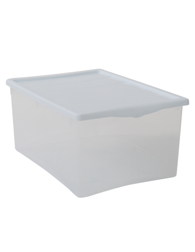 Spring Box Contenitore 55x39x25cm, plastica resistente, capiente, organizzazione casa e ufficio | Shop in Casa