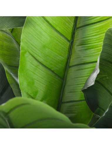 Banano Finto H170 cm Atmosphera – Pianta Artificiale da Interno | shopincasa.it
