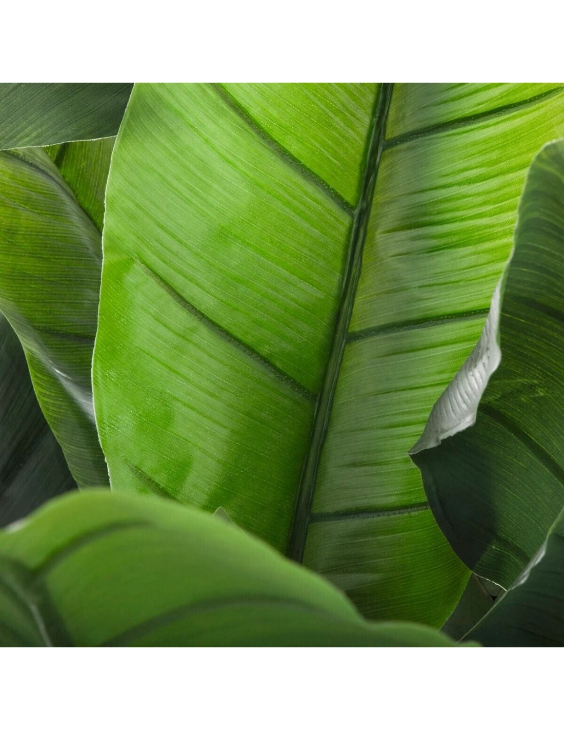 Banano Finto H170 cm Atmosphera – Pianta Artificiale da Interno | shopincasa.it