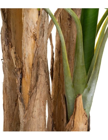 Banano Finto Gigante H285 cm Atmosphera – Pianta Artificiale da Interno | shopincasa.it