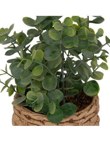 Eucalipto artificiale in vaso Jaye H 27 cm multicolore | shopincasa.it