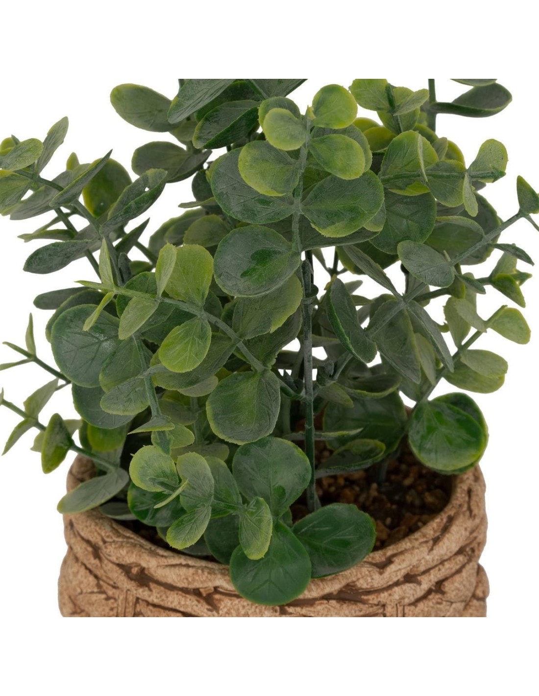 Eucalipto artificiale in vaso Jaye H 27 cm multicolore | shopincasa.it