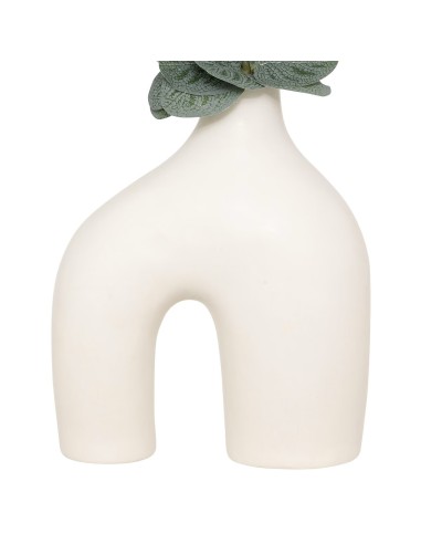 Composizione eucalipto con vaso Suza modelli assortiti | shopincasa.it